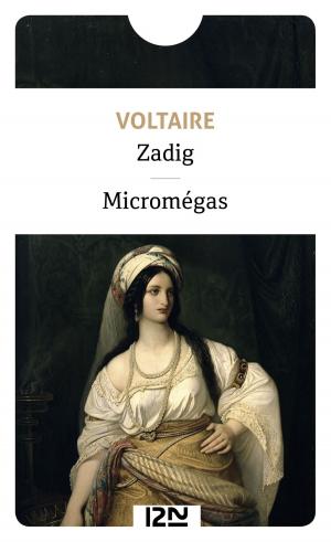 Cover of the book Zadig by Anne B. RAGDE