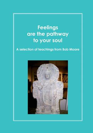 Book cover of Feelings are the pathway to your soul
