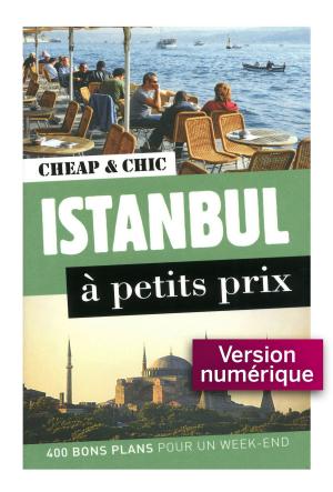 Cover of the book Istanbul à petits prix 1 by Vincent MIRABEL