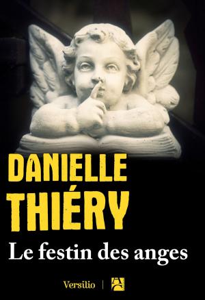 Cover of the book Le festin des anges by Danielle Thiery