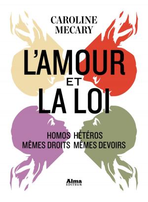 Cover of the book L'Amour et la Loi by Marie-laure Le foulon