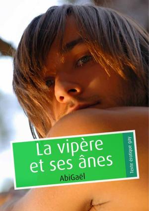 Cover of the book La vipère et ses ânes (pulp gay) by Diablotin