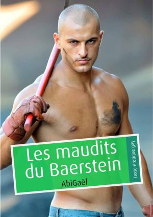 Cover of the book Les maudits du Baerstein by Éric Jung