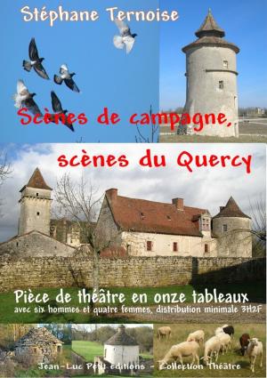 Cover of the book Scènes de campagne, scènes du Quercy by Stéphane Ternoise