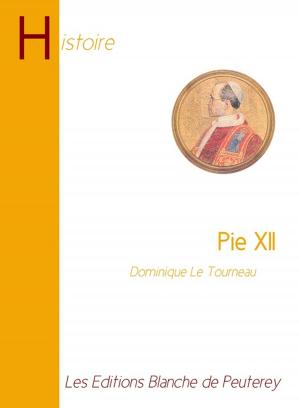 Cover of the book Pie XII by Pape François