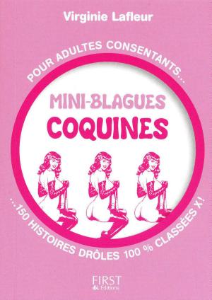 Book cover of Petit livre de - Mini blagues coquines