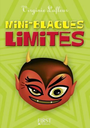 Book cover of Petit livre de - Mini blagues limites