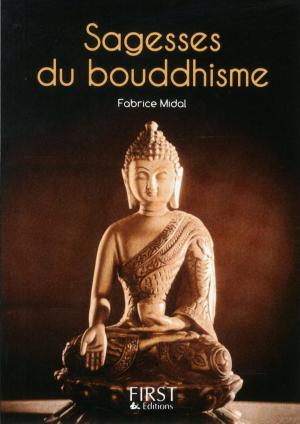Cover of the book Petit livre de - Sagesses du bouddhisme by Vincent AMIEL