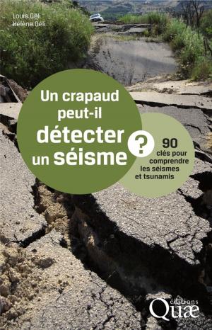 Cover of the book Un crapaud peut-il détecter un séisme ? by Florentina Moatar, Nadia Dupont