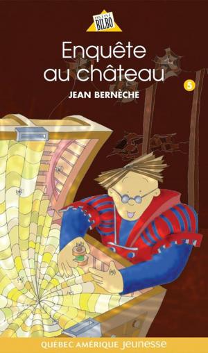 Cover of the book Mathieu 05 - Enquête au château by Andrée A. Michaud
