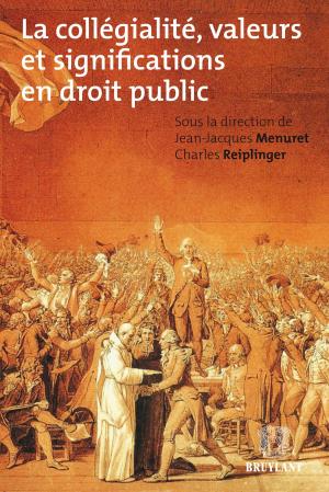 Cover of the book La collégialité, valeurs et significations en droit public by Mathias El Berhoumi, Laurence Vancrayebeck