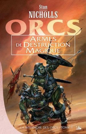 Book cover of Armes de destruction magique