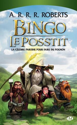 Cover of the book Bingo le Posstit by Patrick Rothfuss