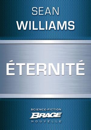 Cover of the book Éternité by Warren Murphy, Richard Sapir