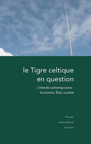 Cover of the book Le Tigre celtique en question by Collectif