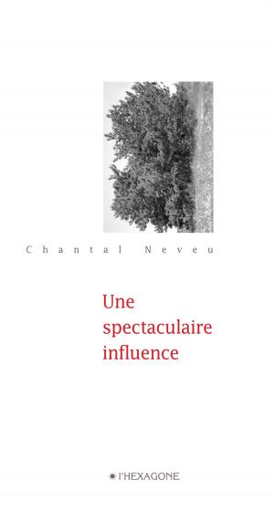 Cover of the book Une spectaculaire influence by Maria Cristina Sferra