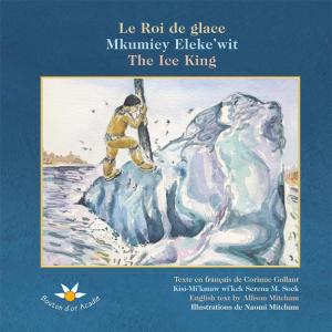 Book cover of Le roi de glace / Mkumiey Eleke’wit / The Ice King