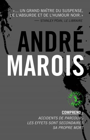 Cover of the book André Marois - Coffret numérique by Marie Hélène Poitras