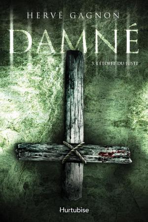Cover of the book Damné T3 by Hervé Gagnon