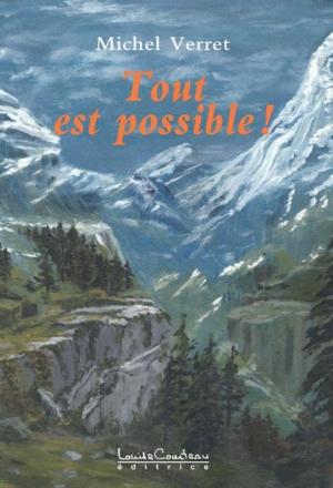 Cover of the book Tout est possible! by Frank Hatem