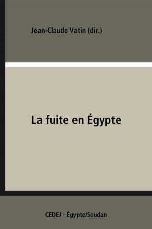 Cover of the book La fuite en Égypte by Brian Briscoe