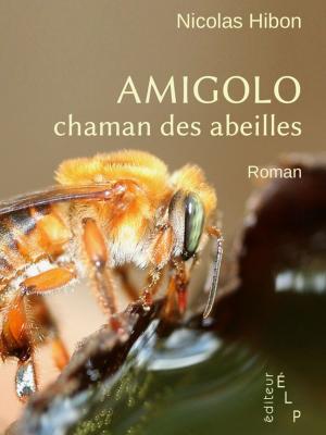 Cover of the book Amigolo, chaman des abeilles by Nicolas Hibon