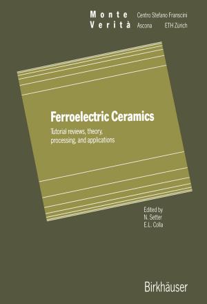 Cover of the book Ferroelectric Ceramics by Michael J Parnham