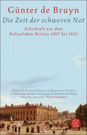 Cover of the book Die Zeit der schweren Not by Walter Boehlich