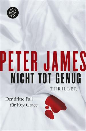 Cover of the book Nicht tot genug by Dieter Kühn