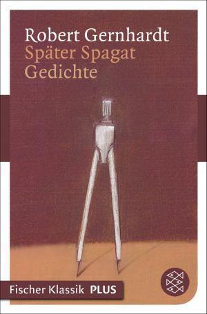 Cover of the book Später Spagat by María Cecilia Barbetta