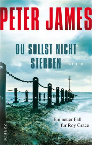 Cover of the book Du sollst nicht sterben by Cecelia Ahern