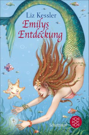 Book cover of Emilys Entdeckung