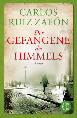 Cover of the book Der Gefangene des Himmels by Adrian J Walker