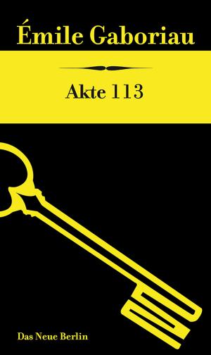 Cover of the book Akte 113 by Birgit von Derschau
