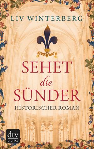 Cover of the book Sehet die Sünder by Jonas Winner