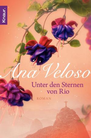 Book cover of Unter den Sternen von Rio