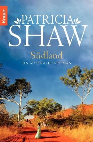 Cover of the book Südland by Martin Wehrle