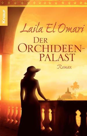 Cover of the book Der Orchideenpalast by Heidi Rehn