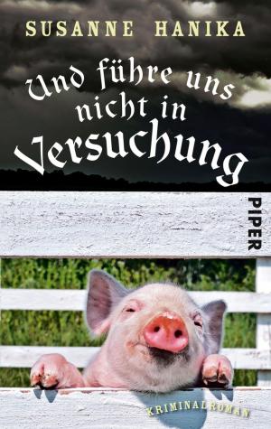 Cover of the book Und führe uns nicht in Versuchung by Susanne Mischke