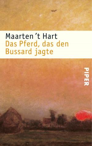 Cover of the book Das Pferd, das den Bussard jagte by Daniel Silva