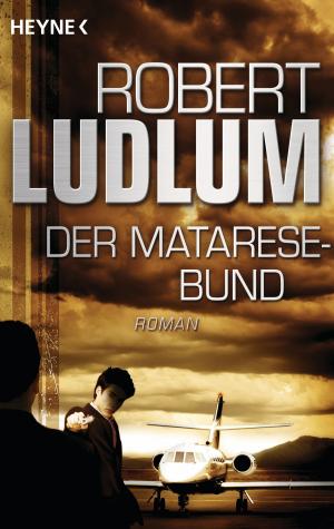 Cover of the book Der Matarese-Bund by Steffen Kopetzky