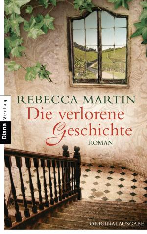 Cover of the book Die verlorene Geschichte by Brigitte Riebe