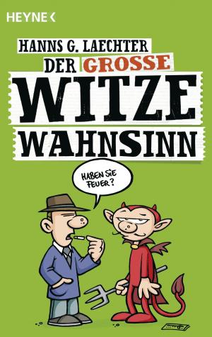 Cover of the book Der große Witze-Wahnsinn by Rachel Bach