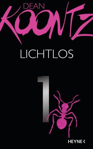 Cover of the book Lichtlos 1 by Anne McCaffrey