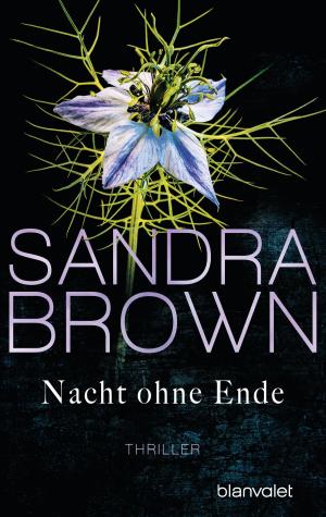 Cover of the book Nacht ohne Ende by Monica McCarty