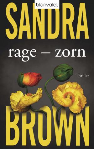 Cover of the book Rage - Zorn by Gérard de Villiers