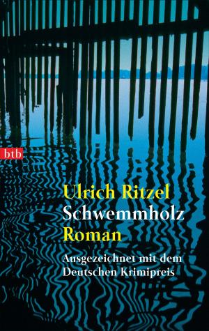 Cover of the book Schwemmholz by Bernhard Aichner