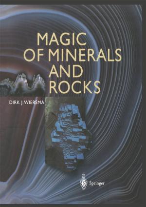 Cover of the book Magic of Minerals and Rocks by Francesco Capasso, Timothy S. Gaginella, Giuliano Grandolini, Angelo A. Izzo