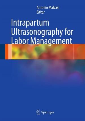 Cover of the book Intrapartum Ultrasonography for Labor Management by Sylvestre Gallot, Dominique Hulin, Jacques Lafontaine