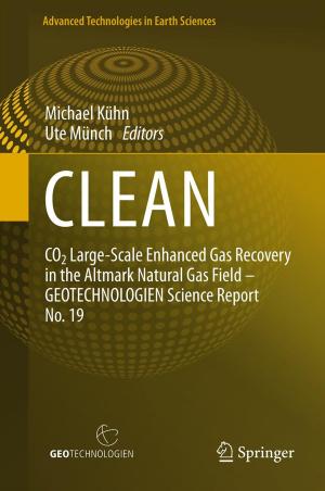 Cover of the book CLEAN by Mildred Dresselhaus, Gene Dresselhaus, Antonio Gomes Souza Filho, Stephen B. Cronin